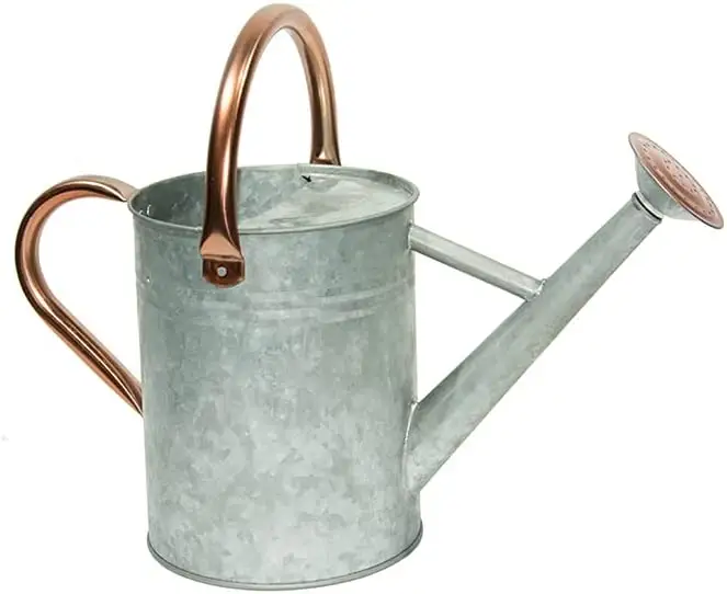 Low Price High Range Metal Galvanized Water Can With Black Painted Finishing Watering Can For Outdoor Green Plants Usage Low Moq