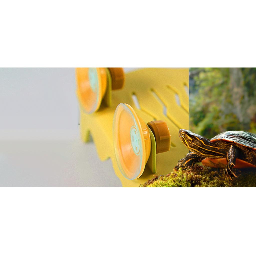 Turtle Pier Use Of Water Basking Platform For Small Reptiles L