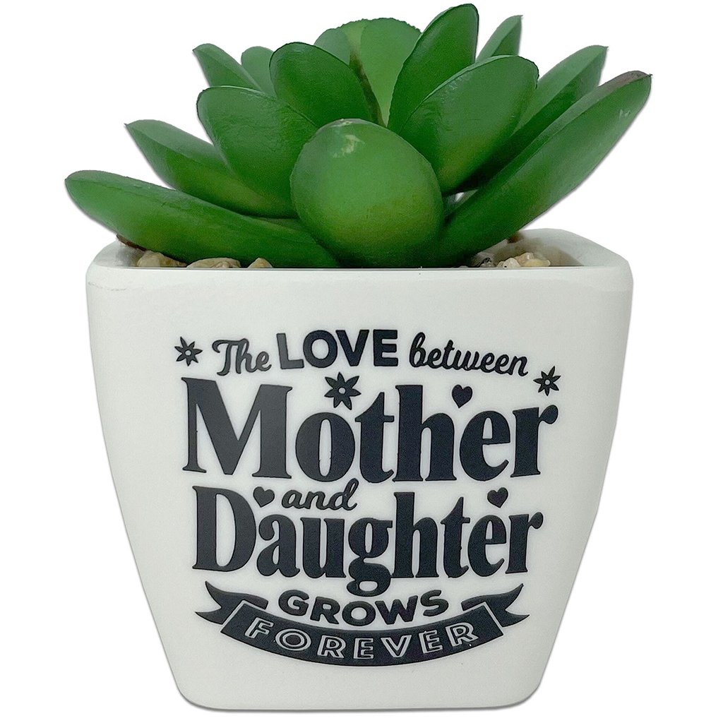 H & H Gifts  Succulent -  Mom and Daughter