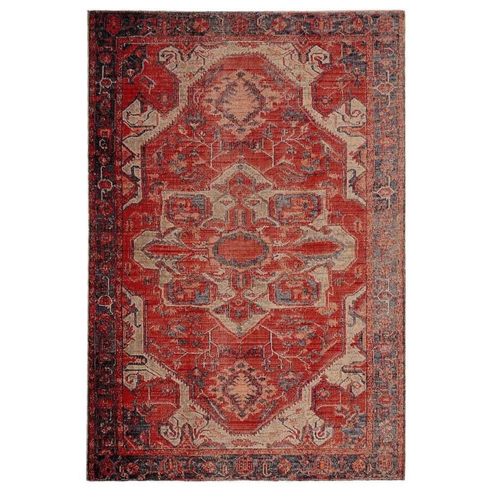 Leighton Indoor and Outdoor Medallion Area Rug