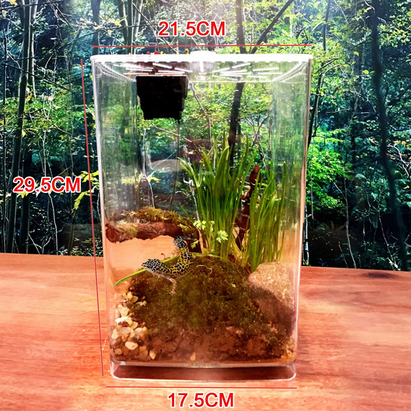 Acrylic Reptile Terrarium Gecko Lizard Spider Vivarium Pet Cage Tank House Acrylic Reptile Terrariums Plant Feeding Tank Lizard Breeding Box Cage Clear Acrylic Reptile Breeding Box Lizard Spider Cage