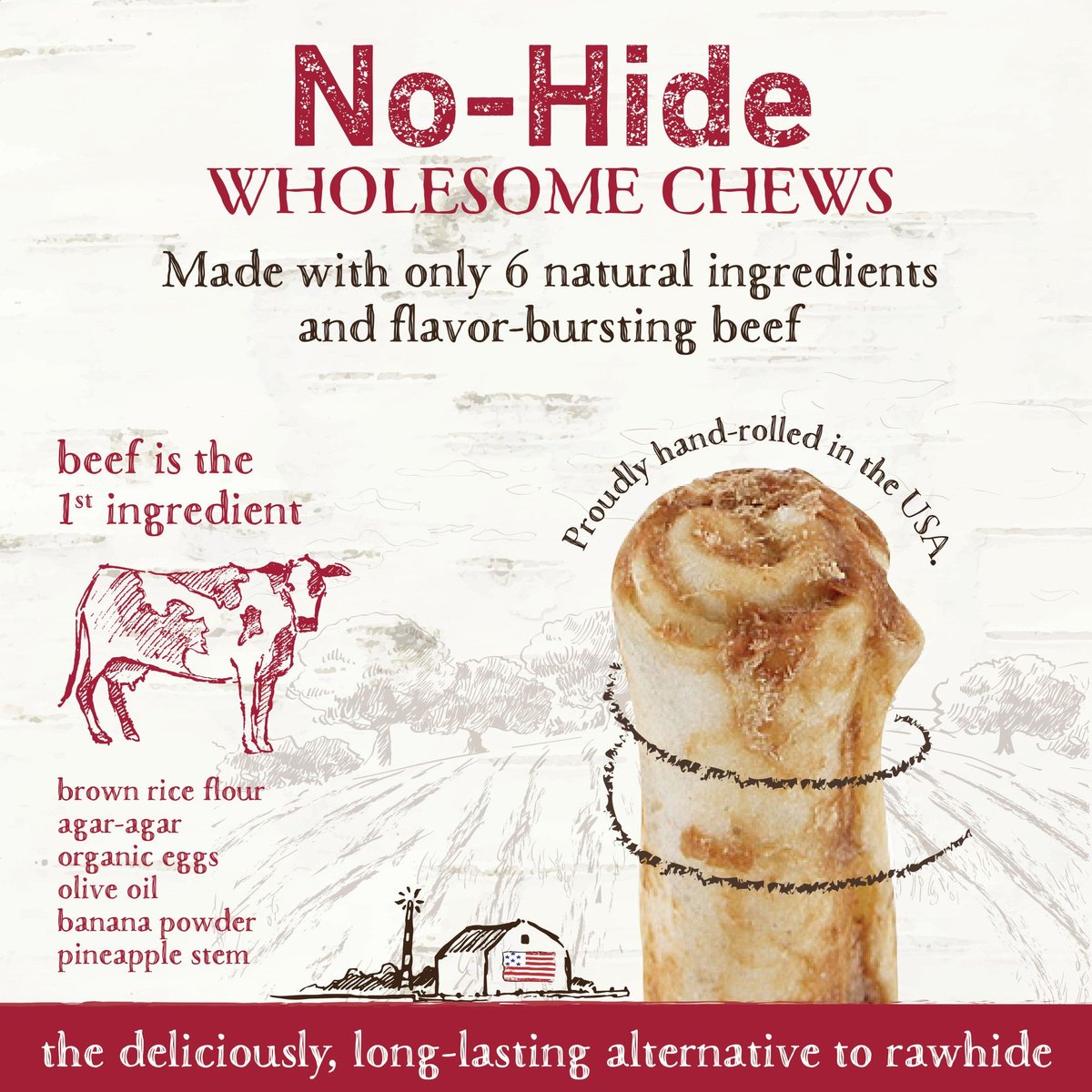 Earth Animal No-Hide Long Lasting Natural Rawhide Alternative Beef Recipe Medium Chew Dog Treats， 2 count