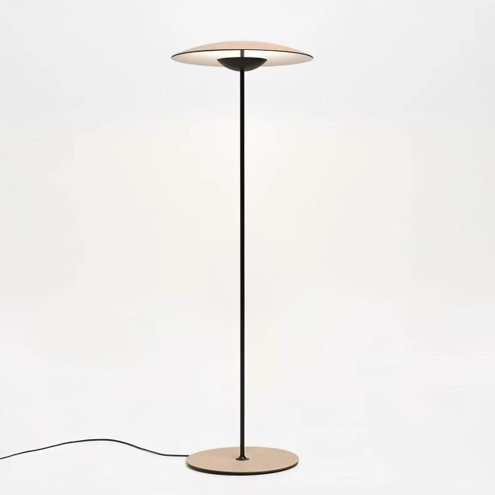 Innovative Directional Floor Lamp