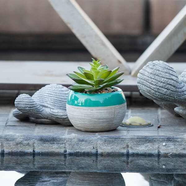 Succulent in Two tone lines pattern ceramic pot ，Teal