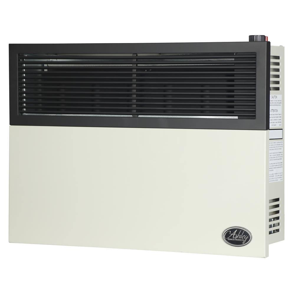 Ashley Hearth Products 17000 BTU Direct Vent Natural Gas Heater DVAG17N