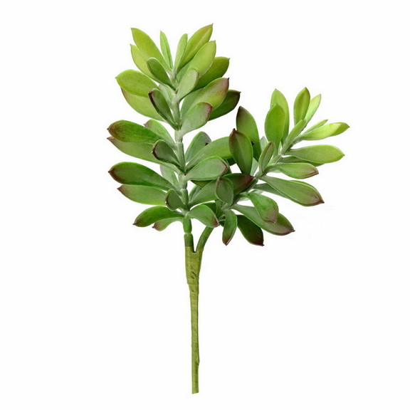 Vickerman FO181701 10 Green Crassula Tetragona Pi...