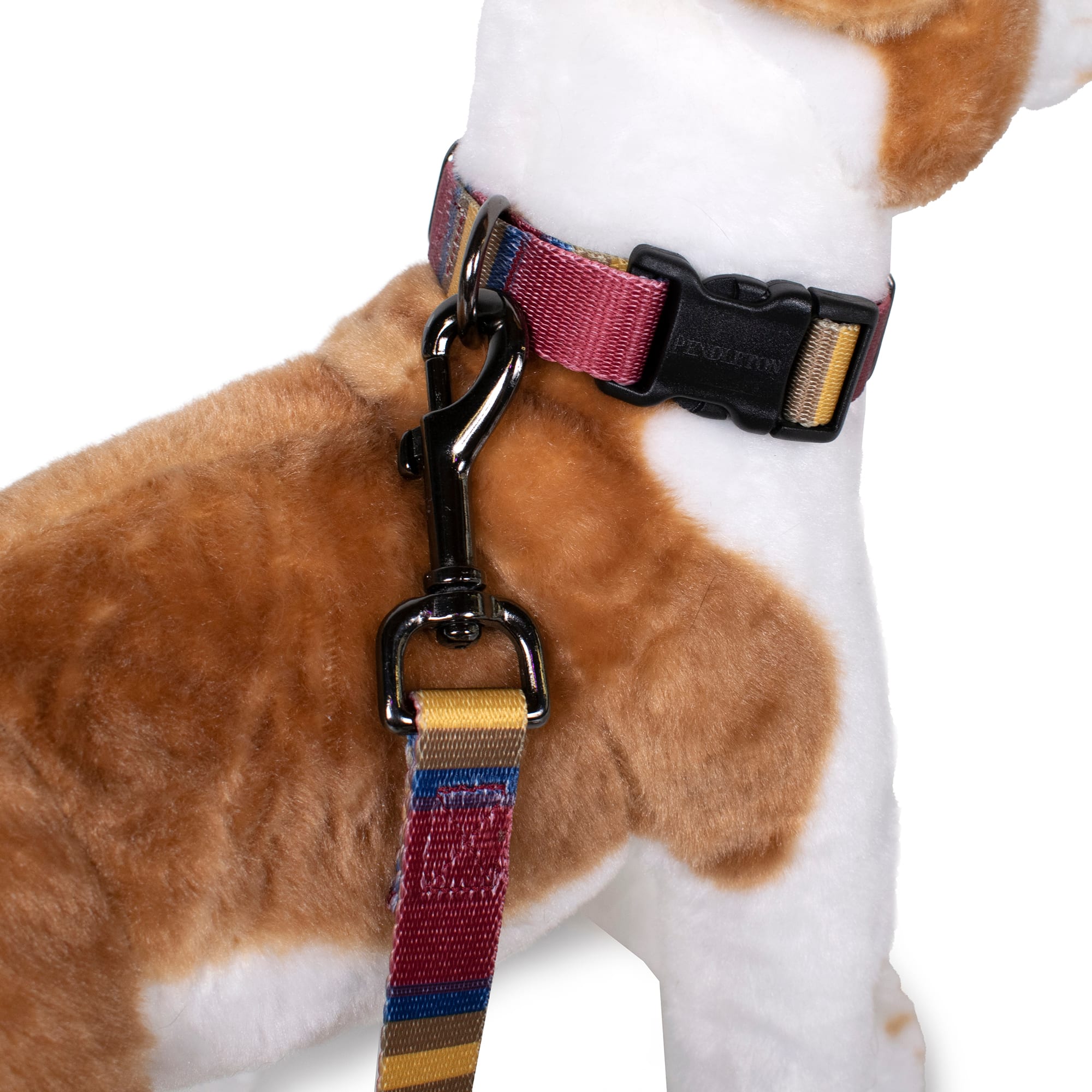 Pendleton Zion National Park Adventure Dog Leash 3/4