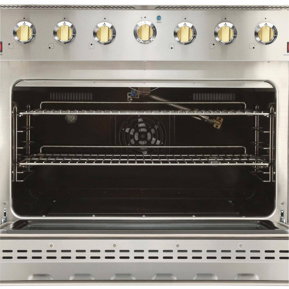 NXR Entree 36 in. 5.5 cu. ft. Professional Style Dual Fuel Range with Convection Oven in Stainless Steel and Gold NKD3611-G