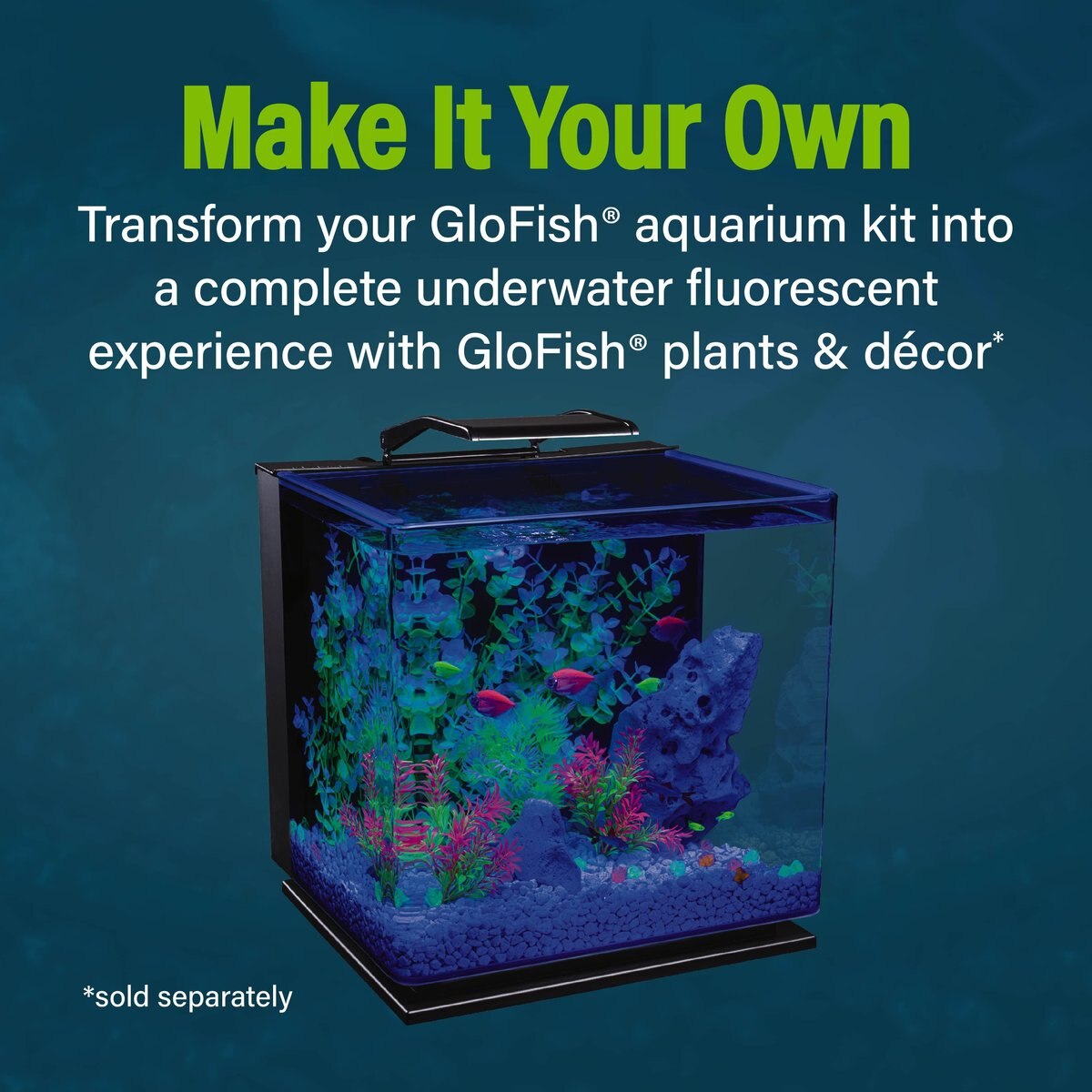 GloFish Glass Aquarium Kit， 10-gal