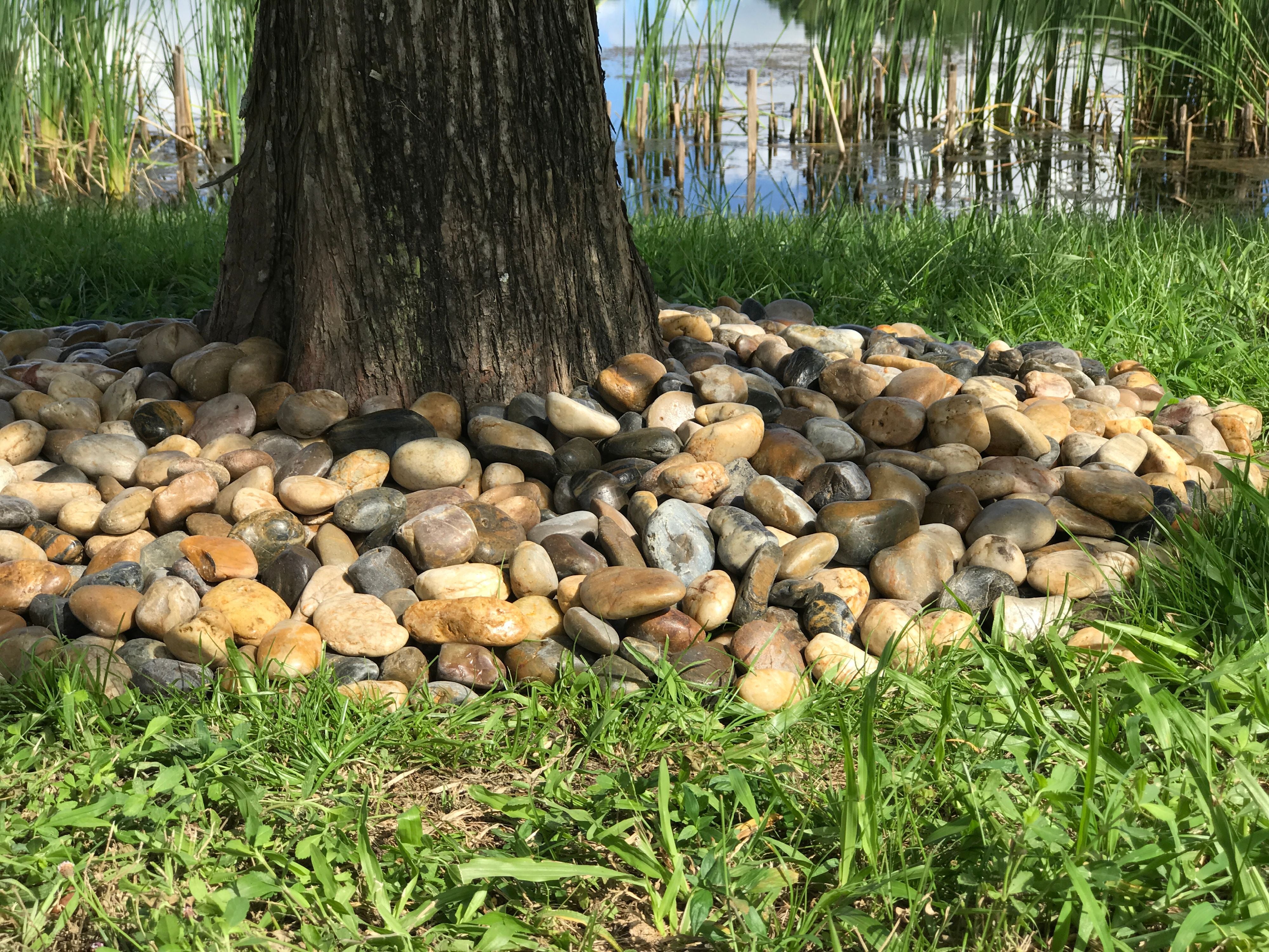 Rainforest Outdoor Decorative Natural Stone, Polished River Pebbles, Mixed, 2-3