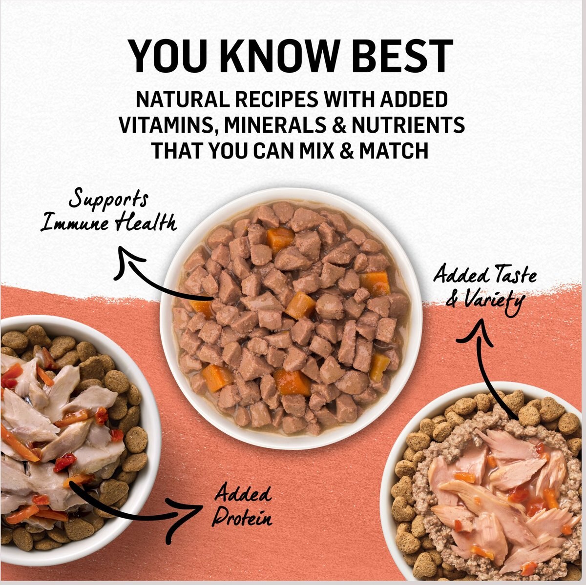 Purina Beyond Wild Alaskan Salmon and Sweet Potato Recipe in Gravy Canned Cat Food