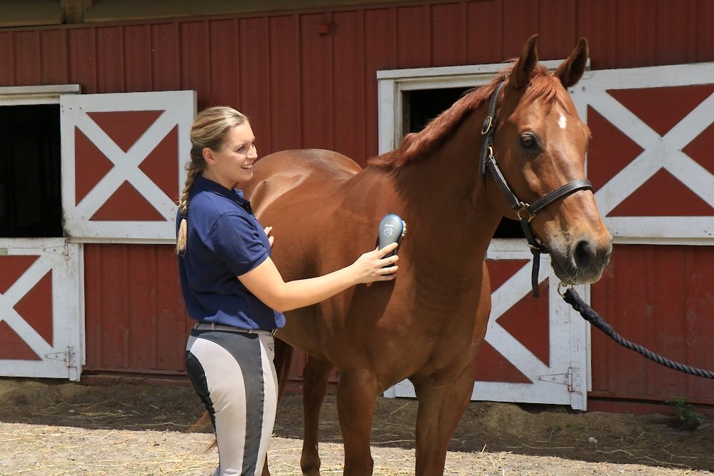 Oster Equine Care Soft Grooming Horse Brush