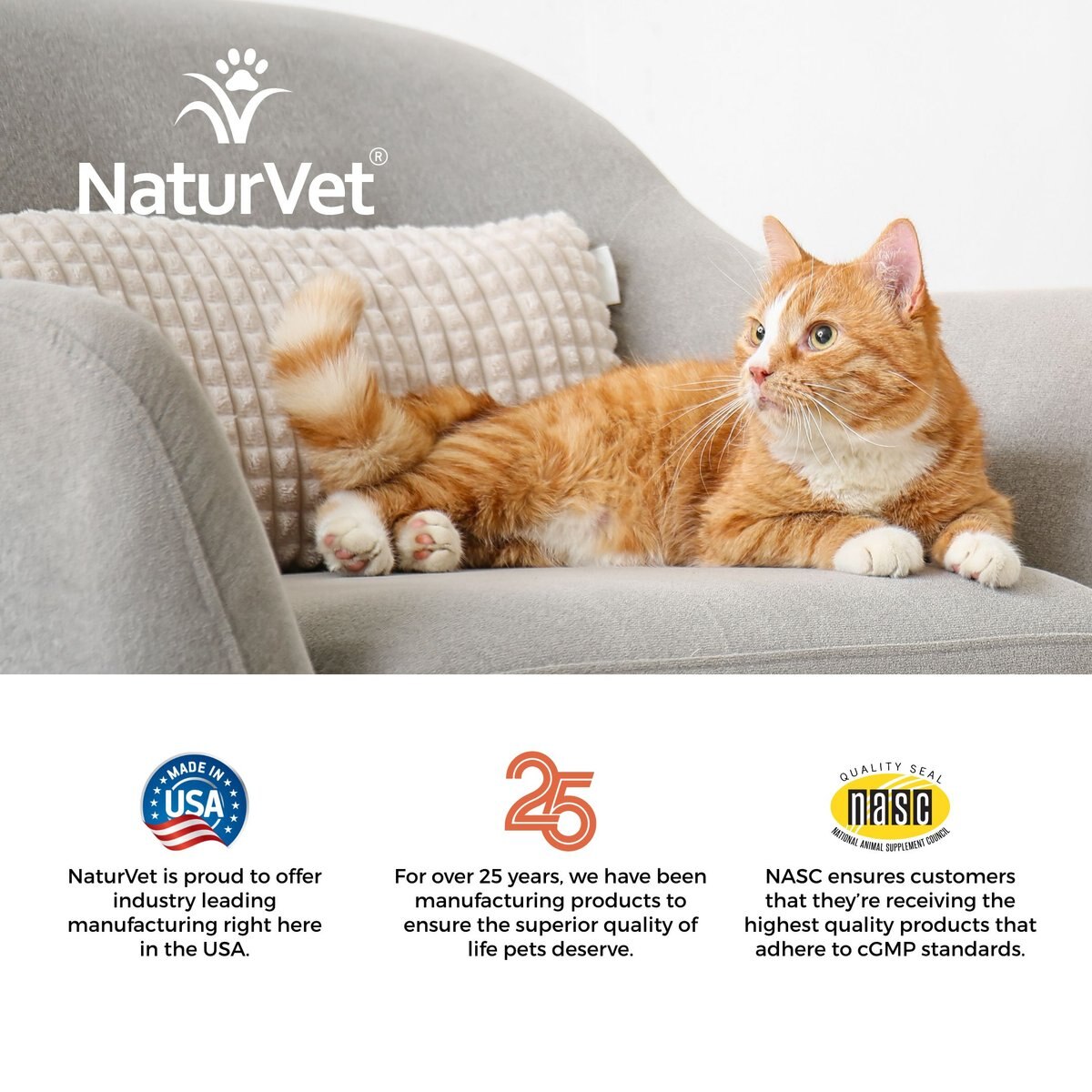 NaturVet VitaPet Adult Plus Omegas Soft Chews Multivitamin for Cats