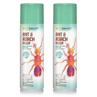 EcoSmart 14 oz. Natural Ant and Roach Killer with Plant-Based Rosemary Oil and Peppermint Oil Aerosol Spray Can (2-Pack) ECSM-33520-01EC