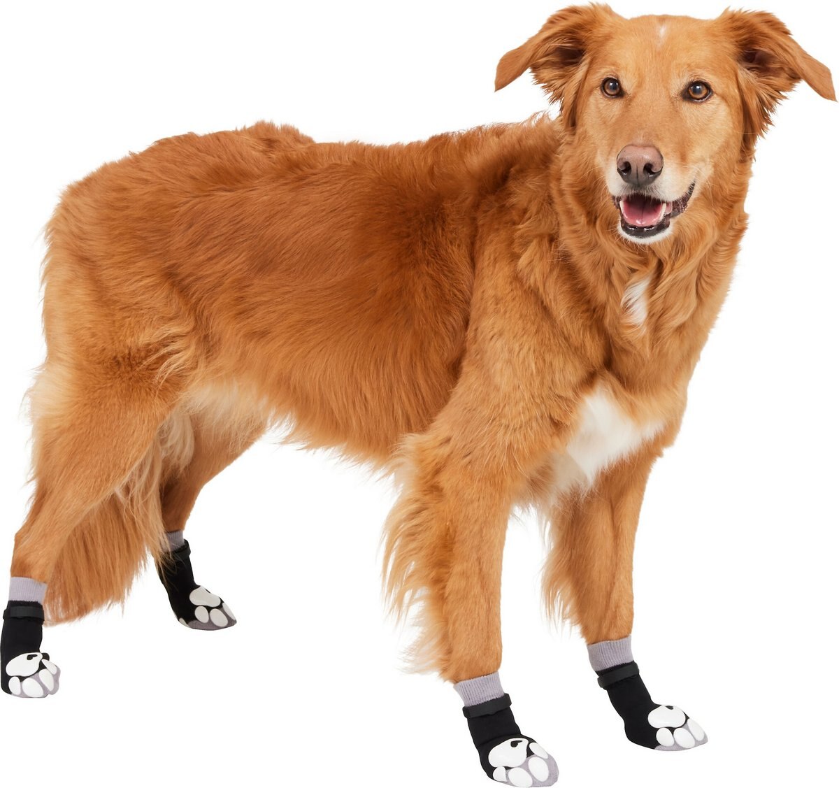 Frisco Non-Skid Dog Socks