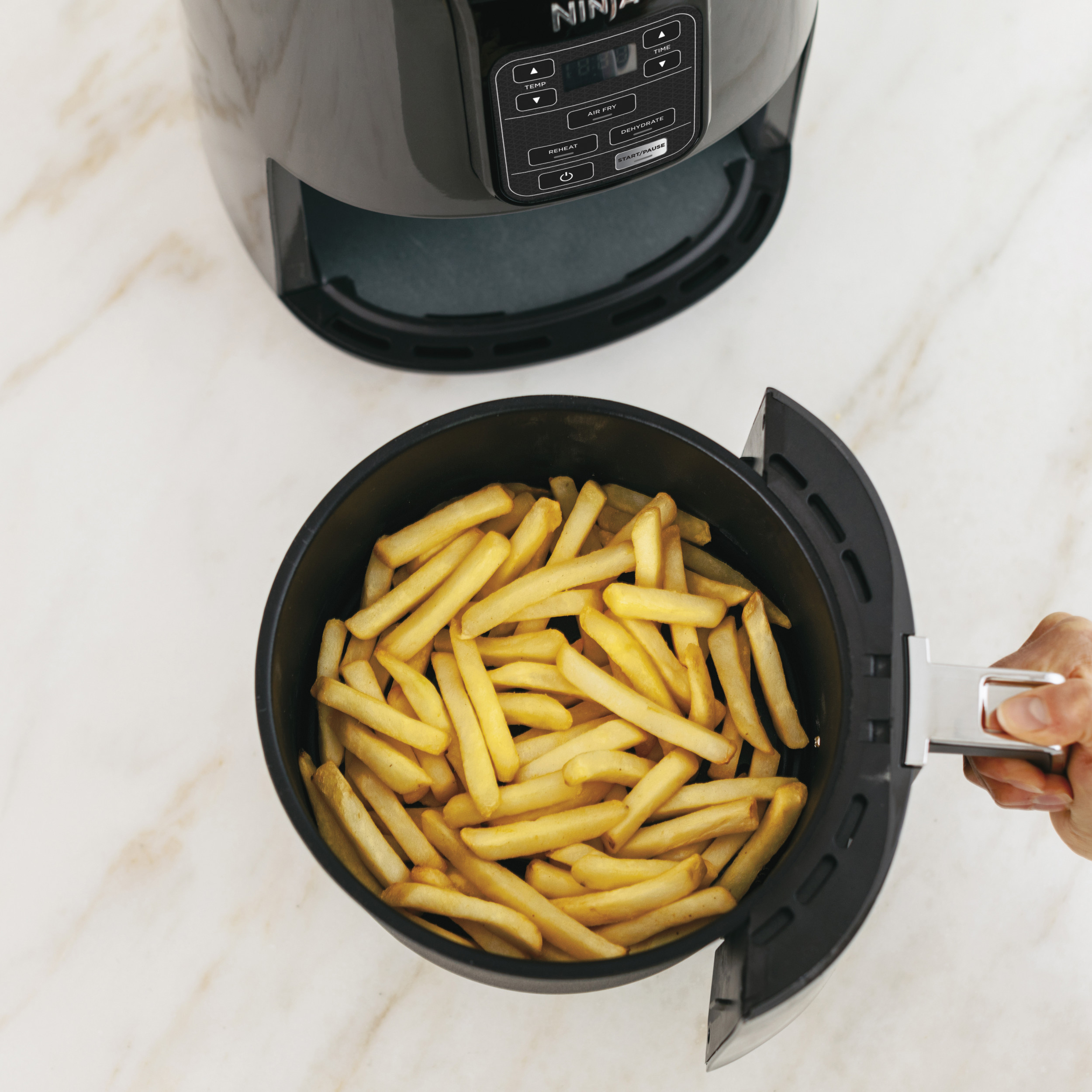 Ninja AF100 4 Quart Air Fryer