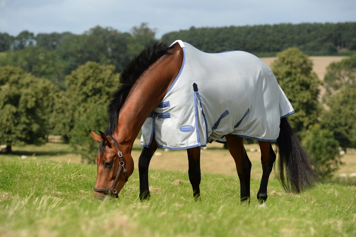 WeatherBeeta Comfitec Airflow II Standard Neck Horse Blanket