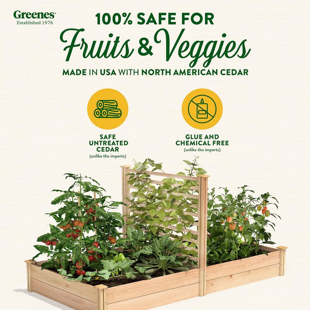 Greenes Fence 4 ft. x 8 ft. X 11 in. Premium Cedar Raised Garden Bed with Trellis RC489612PTRE