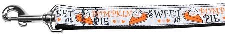 Pumpkin Pie Nylon Dog Leash