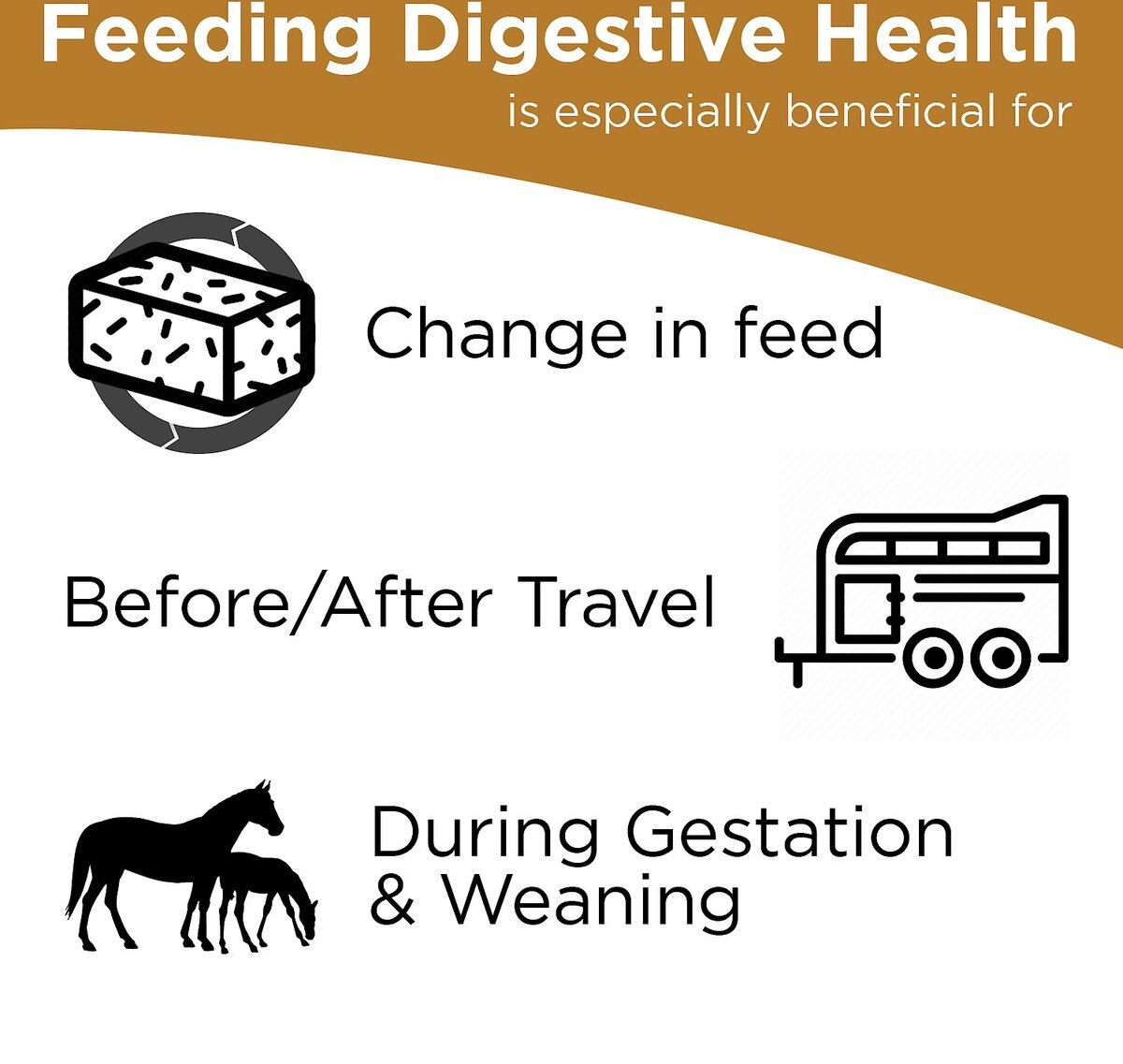 Formula 707 Digestive Health Hay Flavor Pellets Horse Supplement， 56 count