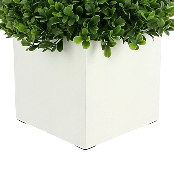 UV Rated Outdoor Boxwood in a Square Fiberstone Pot