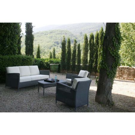 DOVILE LOUNGE SOFA 3 PLACES + COUSSINS ASSISE ET DOSSIER CAT. C