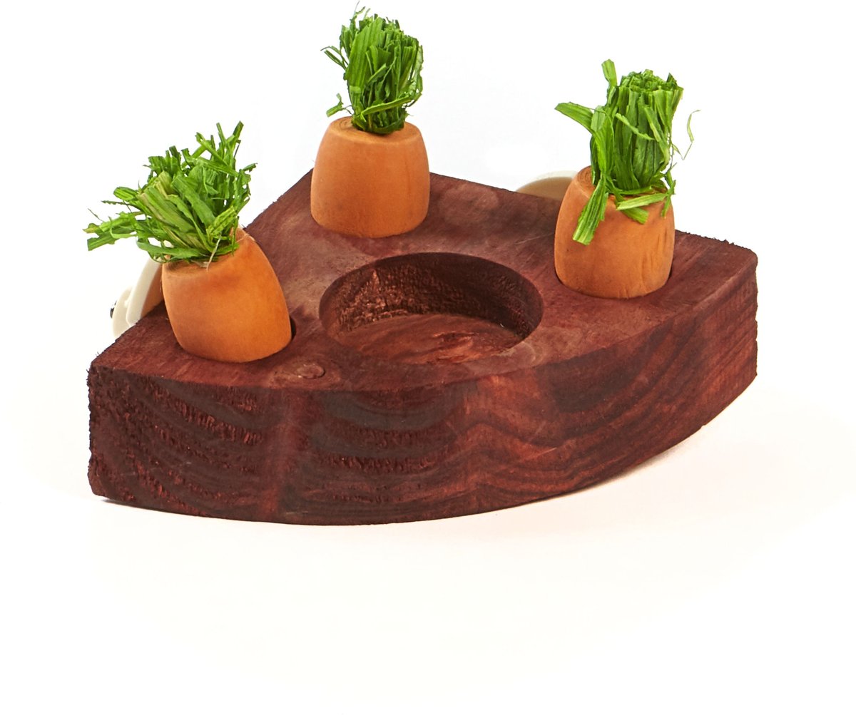 Kaytee Toss and Learn Carrot Game Small Pet Toy