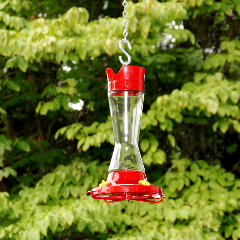 FEEDER HUMINBIRD16OZ4STA