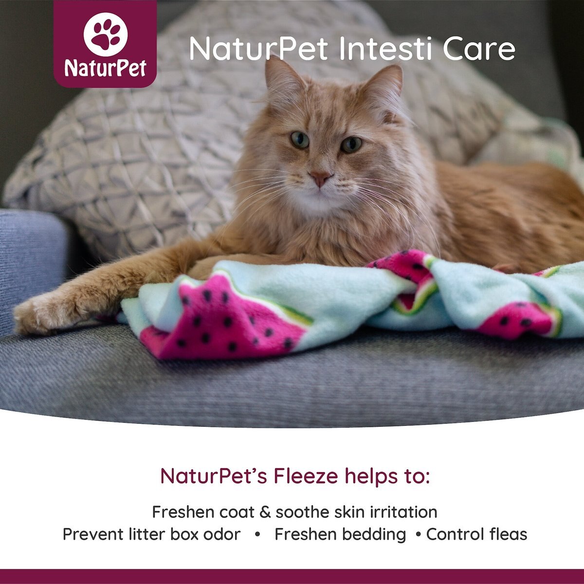 NaturPet Topical and Indoor Flea and Tick Powder for Dogs and Cats