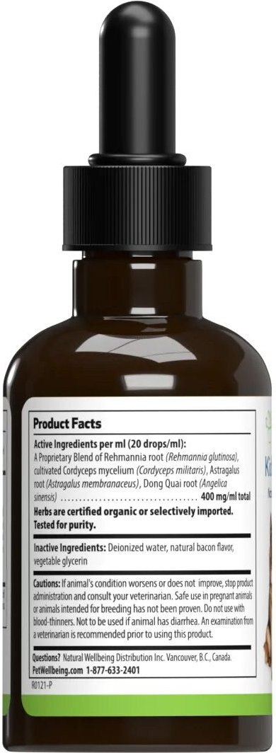 Pet Wellbeing Kidney Support GOLD Bacon Flavored Liquid Kidney Supplement for Dogs and Cats