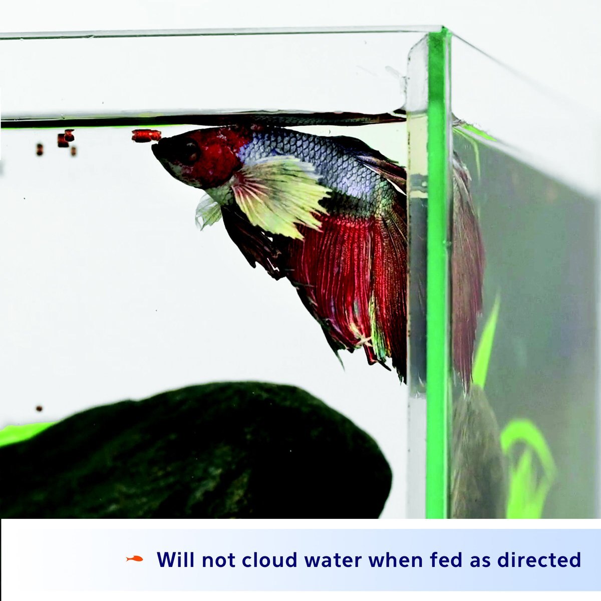 Aqueon Betta Fish Food