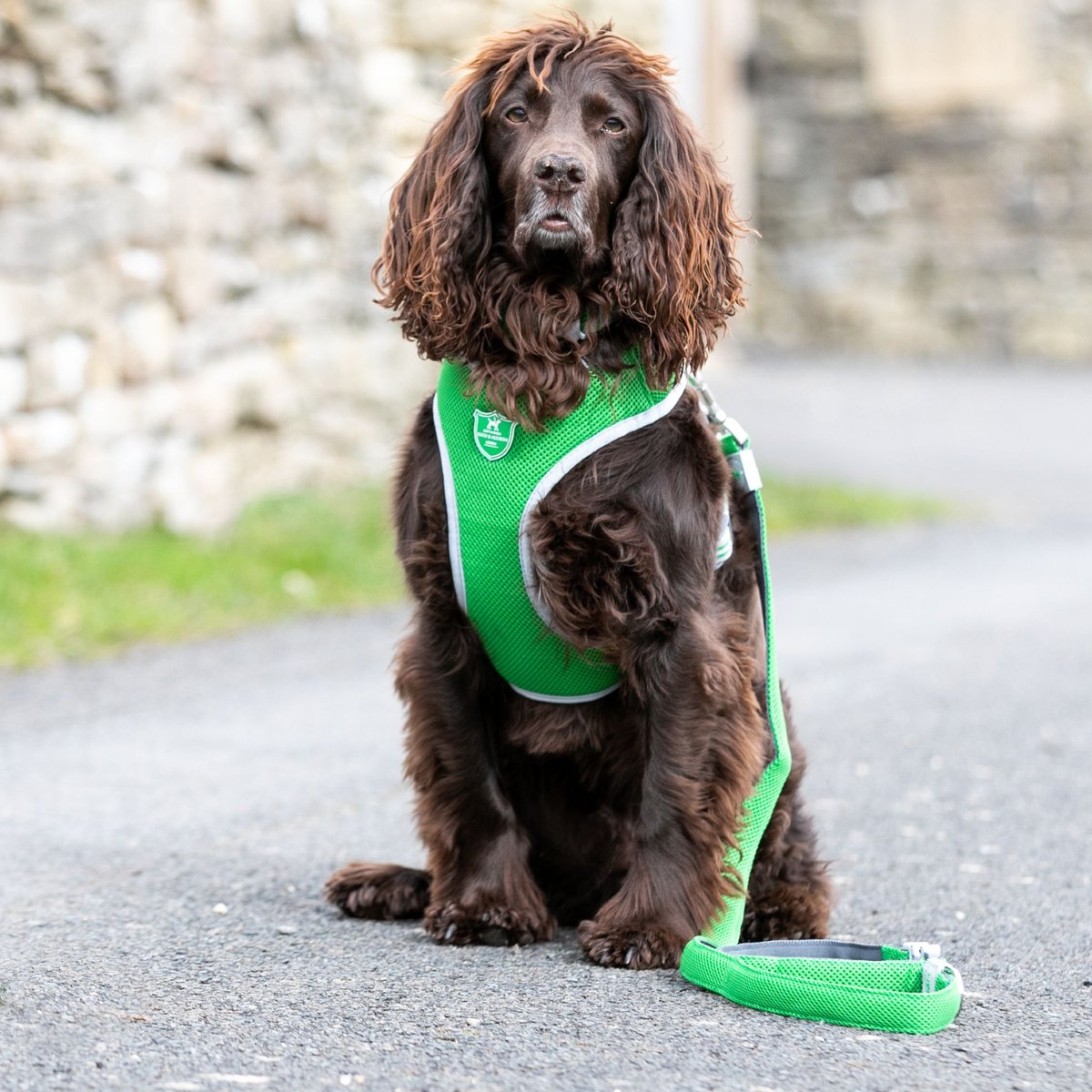 HUGO and HUDSON Mesh Dog Lead