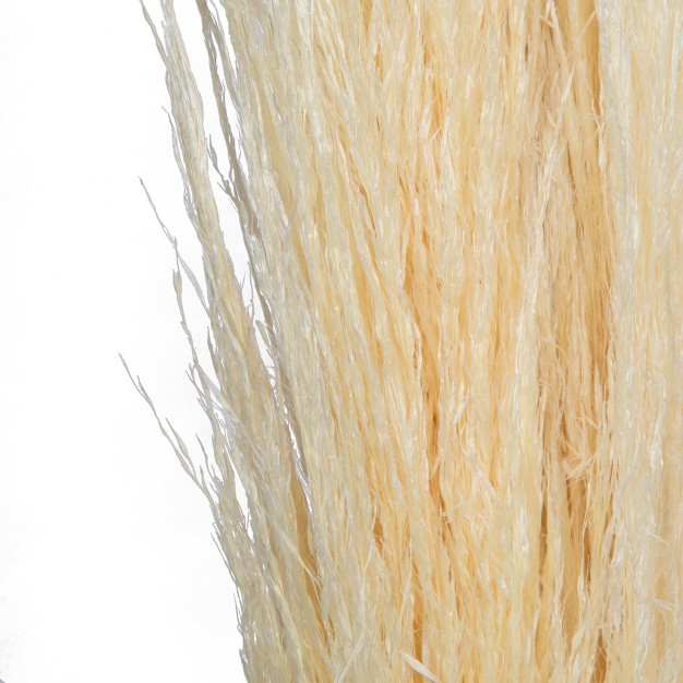 Dried Bleached Pampas Grass 6 Pieces Per Pack