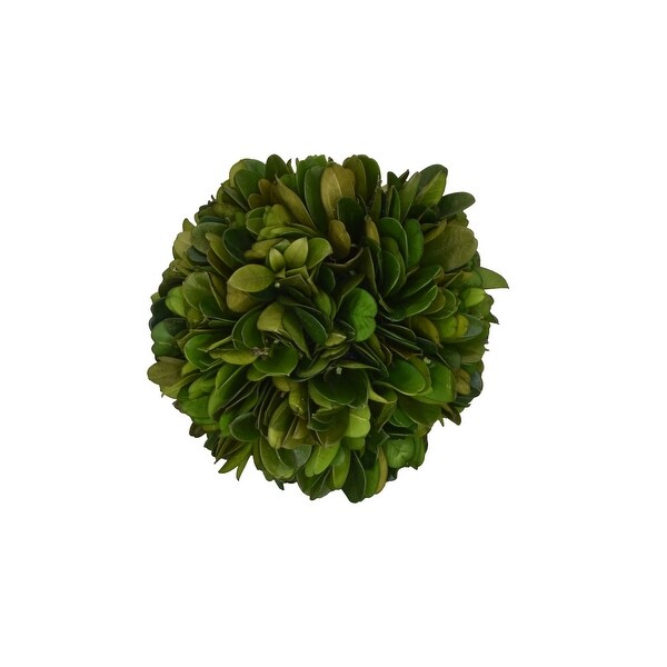 Preserved Boxwood Ball