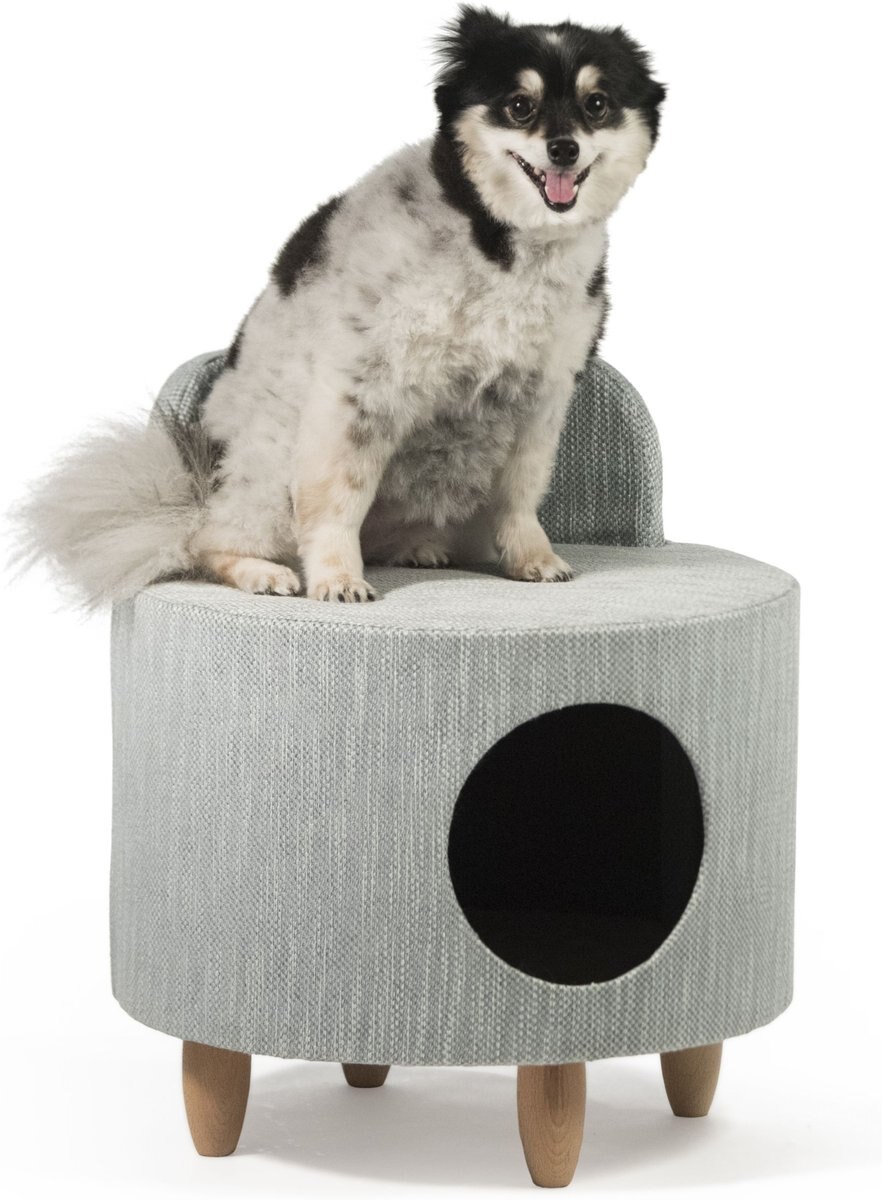 Prevue Pet Products Hollywood Dog and Cat Chair