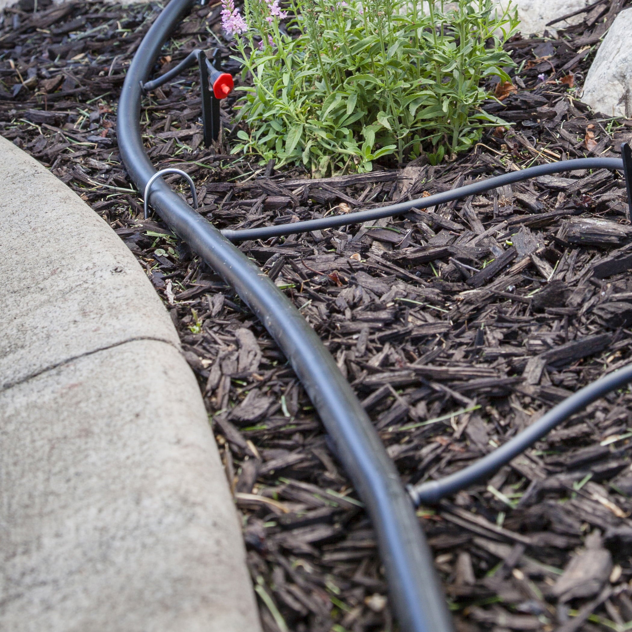 Orbit Irrigation 1/2 inch 50 Foot Black Drip Distribution Tubing