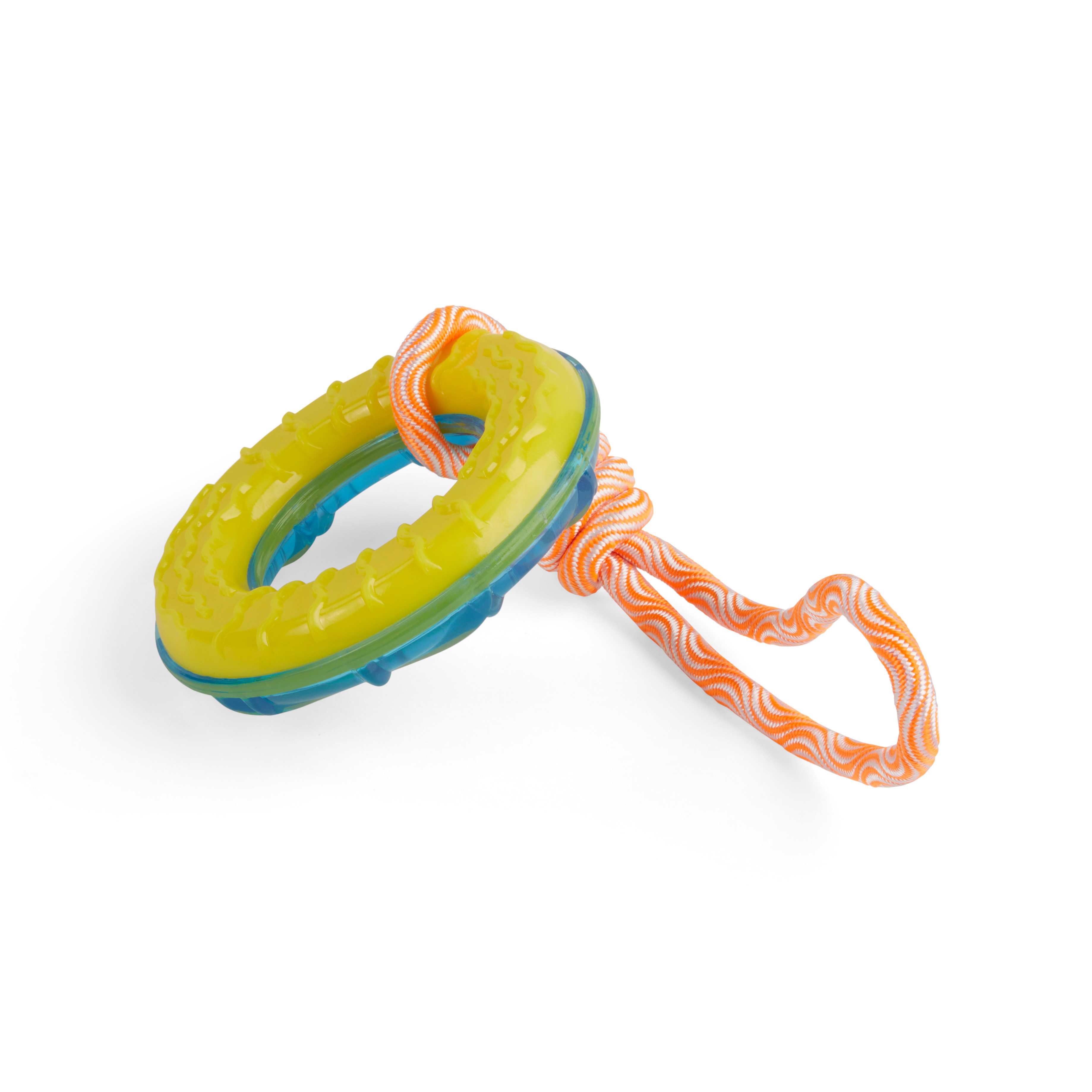 Leaps  Bounds Splash  Dash Floating  Freezeable Water Dog Tug Toy， Small