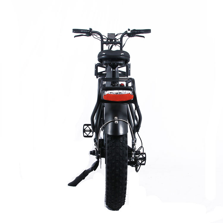 Warehouse Adult Off Road Mountain Bike Electric Cycle Electric Moped Fat Tire Bicycle Electric Bike 48v electric fat tire bike