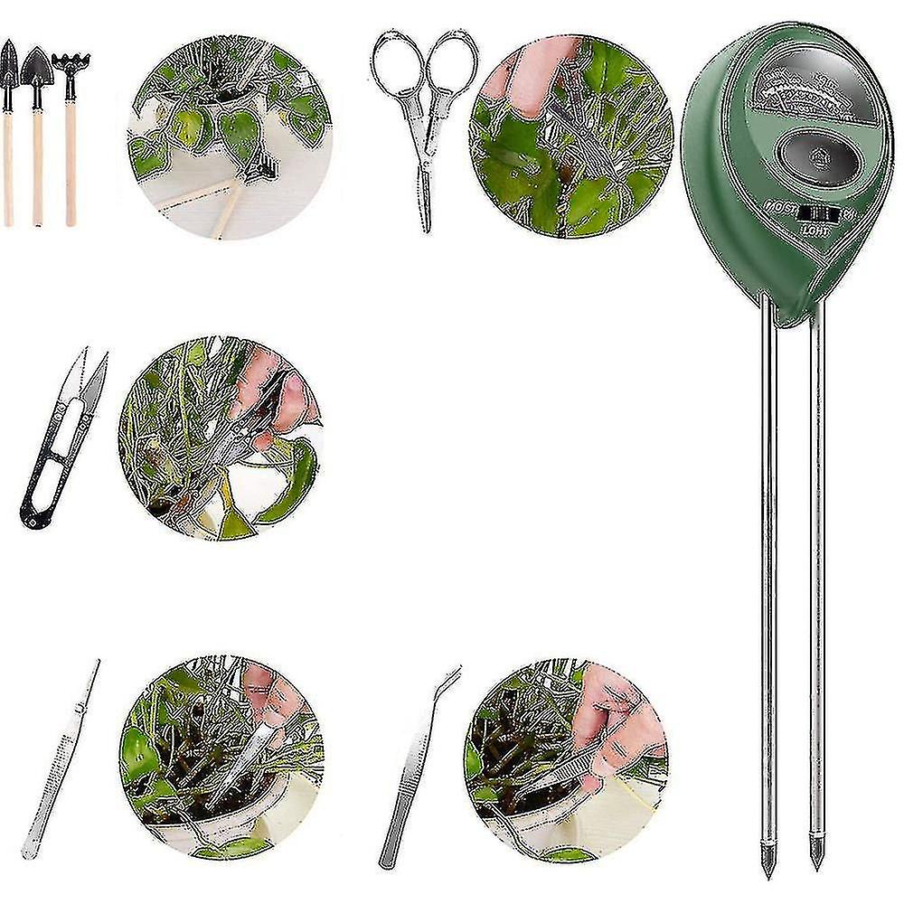 10pcs Bonsai Tools With Soil Moisture Meter