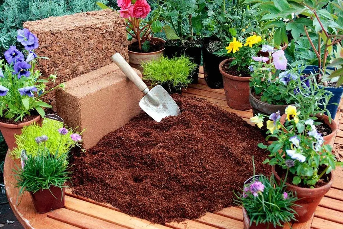 Low Price Peat Moss Coconut Coir Pellets Seedling Soil Block 5kg Coco Peat From Viet Nam Garden Plants