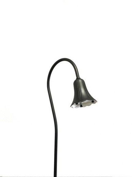 YardBright GBT5021B Black Brass Tulip Light