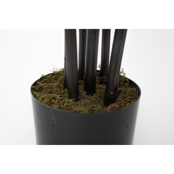 78 Tall Bamboo Tree with Decorative Black Poles and Fiberstone Planter