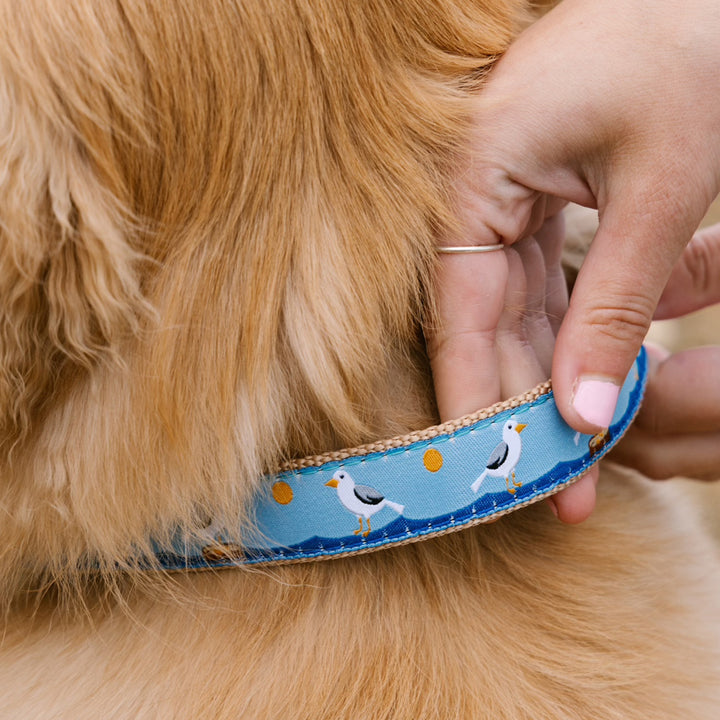 Collar | Gull Watch