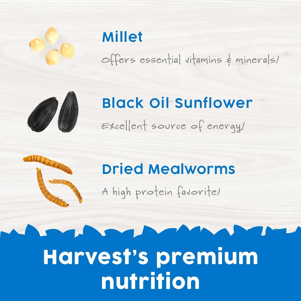 Harvest Seed and Supply Mealworm Wild Bird Food