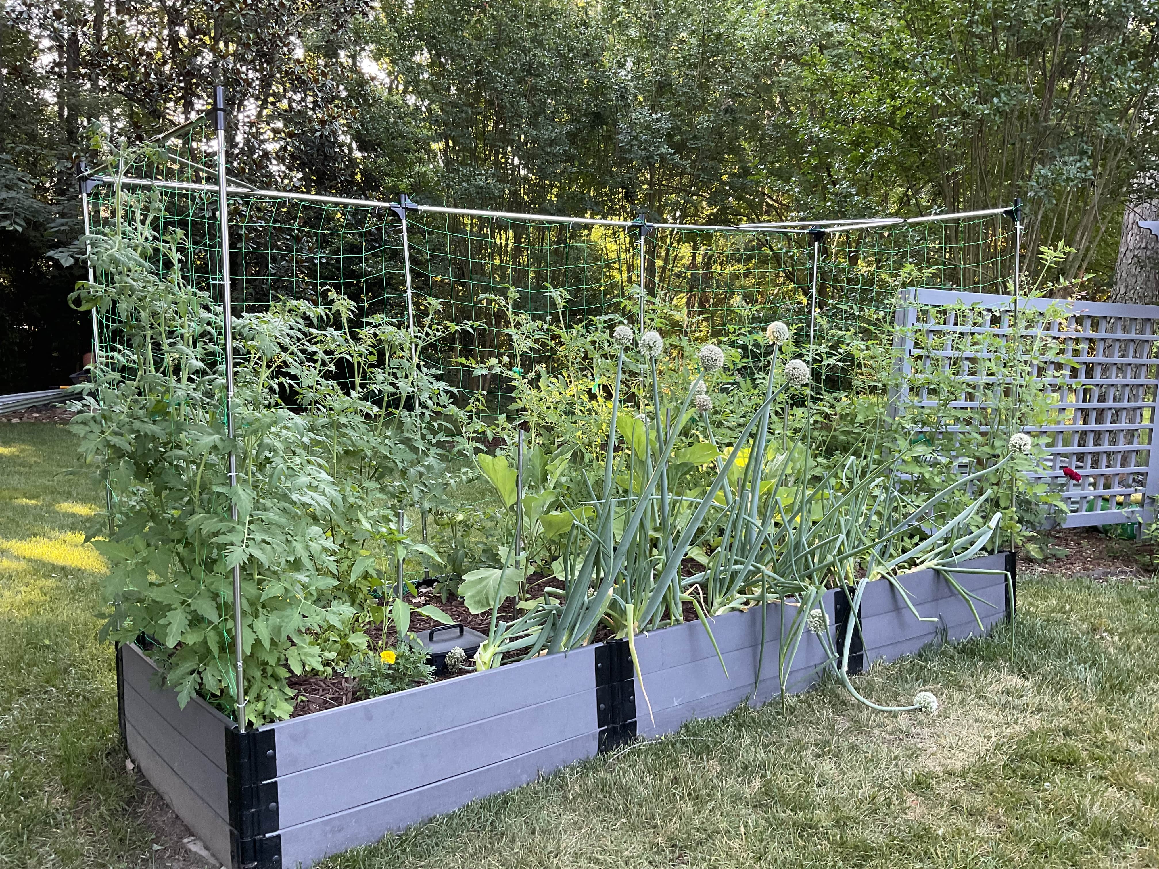 4' x 12' Raised Garden Bed with Trellis