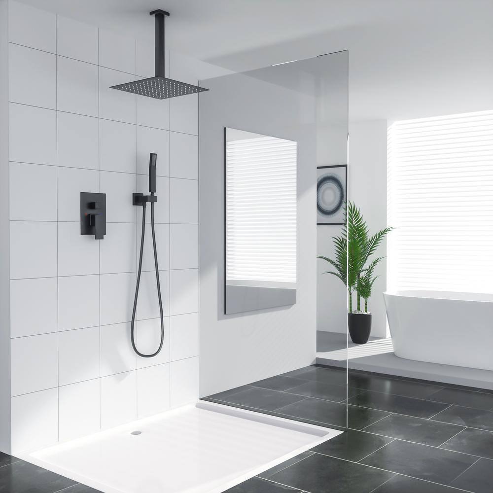 LORDEAR 2-Spray Patterns with 1.8 GPM 16 in. Ceiling Mount Rainfall Dual Shower Heads 360 Degree Swivel in Black H-SLF16016-B