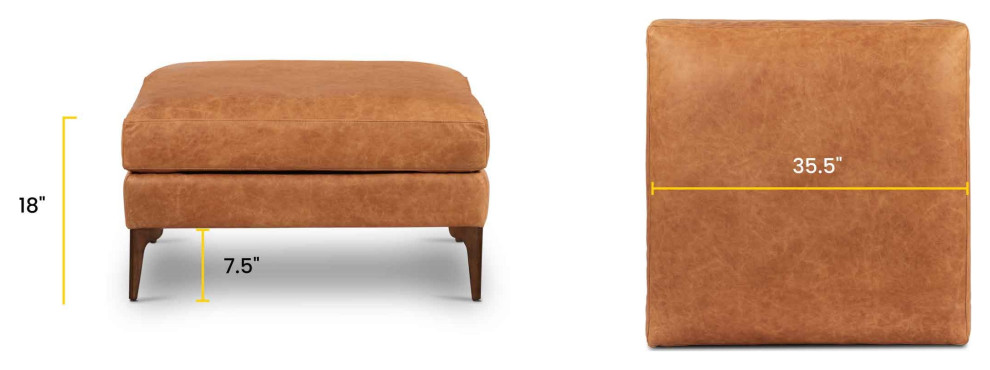 Poly and Bark Mateo Leather Ottoman   Midcentury   Footstools And Ottomans   by Edgemod Furniture  Houzz