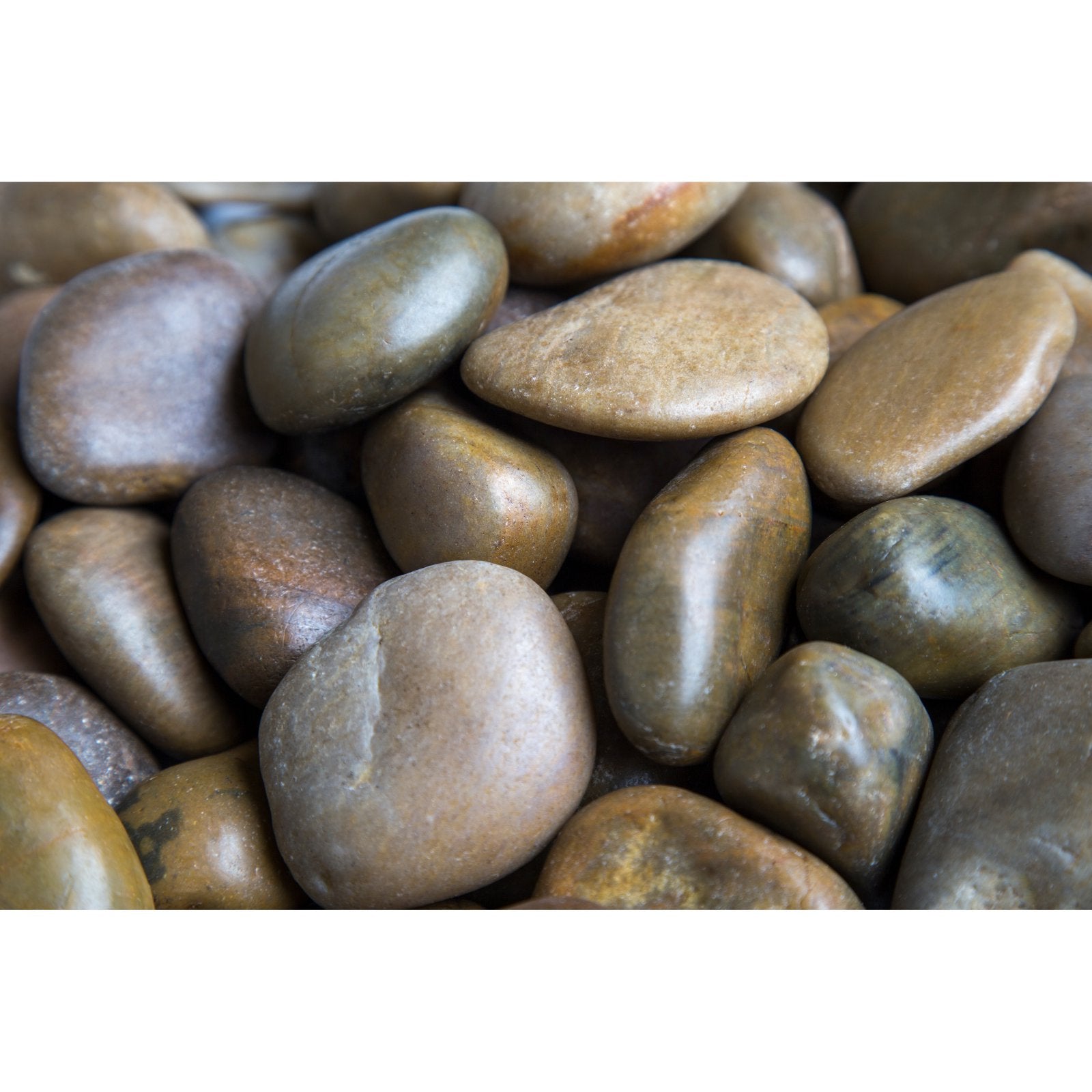 Rain Forest Medium Mixed Grade A Polished Pebbles