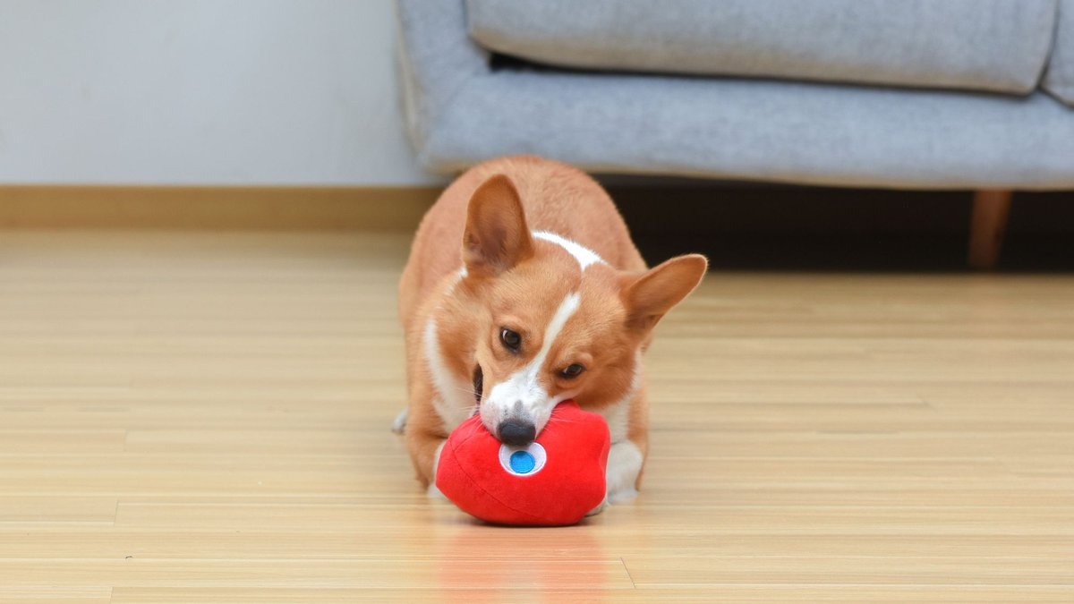 Fetch For Pets Pac-Man Blinky Figure Plush Squeaky Dog Toy