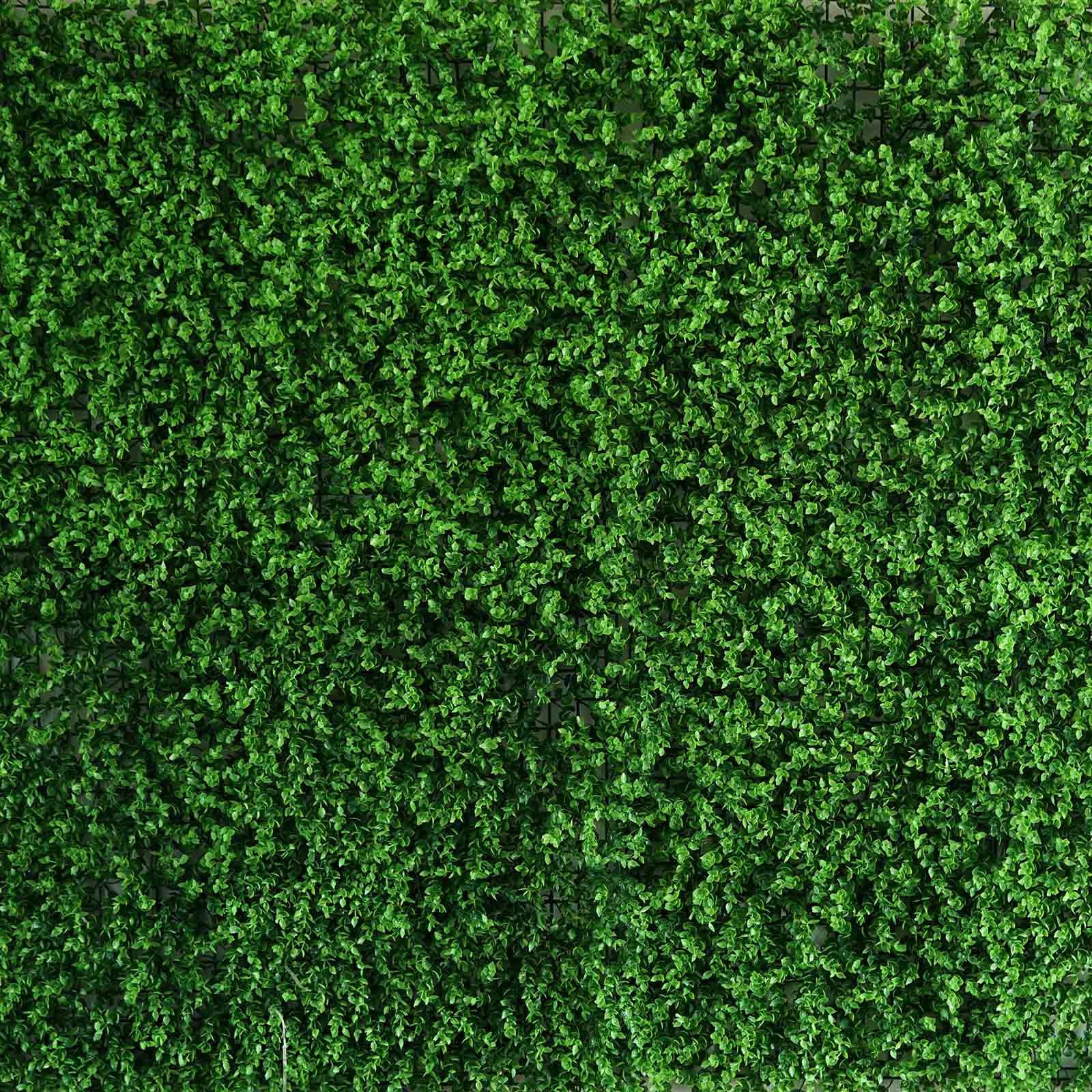 Baby Green Boxwood Hedge Garden Wall Backdrop Mat 4 Artificial Panels 11 Sq ft.